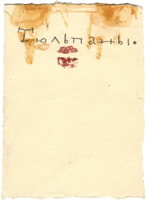 Митрохин Дмитрий Исидорович. Тюльпаны